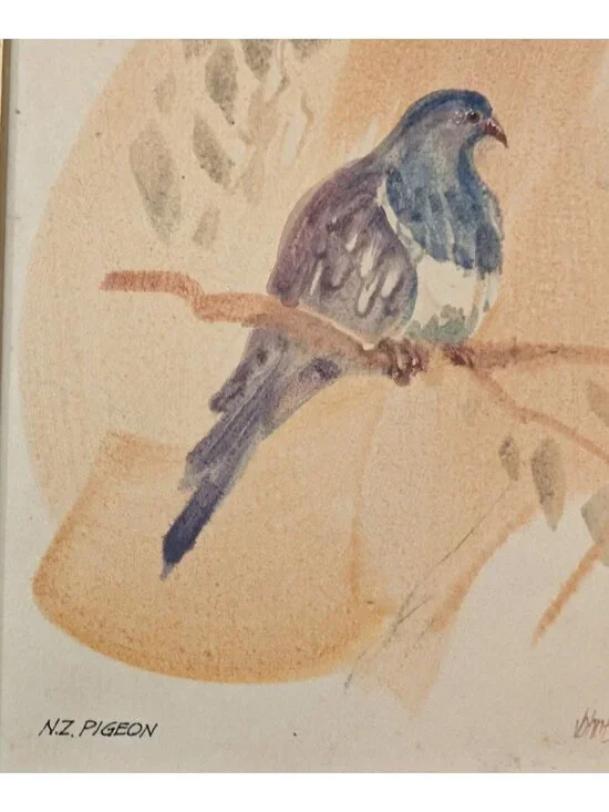 Vintage Framed NZ Pigeon Art John Russell 8.5"x6" Wood Frame bird Rustic Quirky - Picture 3 of 14
